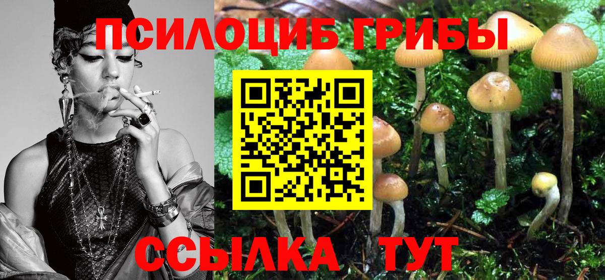 Галлюциногенные грибы Psilocybine cubensis Миллерово
