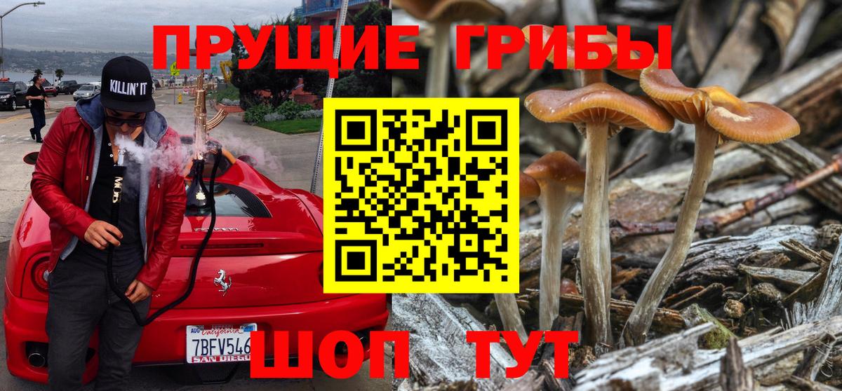 Миллерово  купить наркотики сайты  Вход с VPN  Галлюциногенные грибы мицелий 