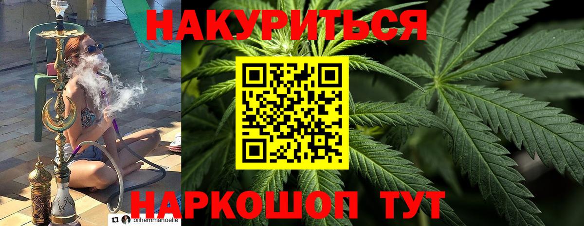 Конопля марихуана Миллерово